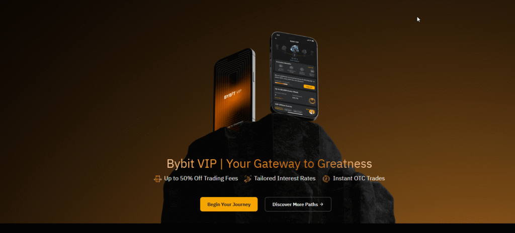Bybit VIP